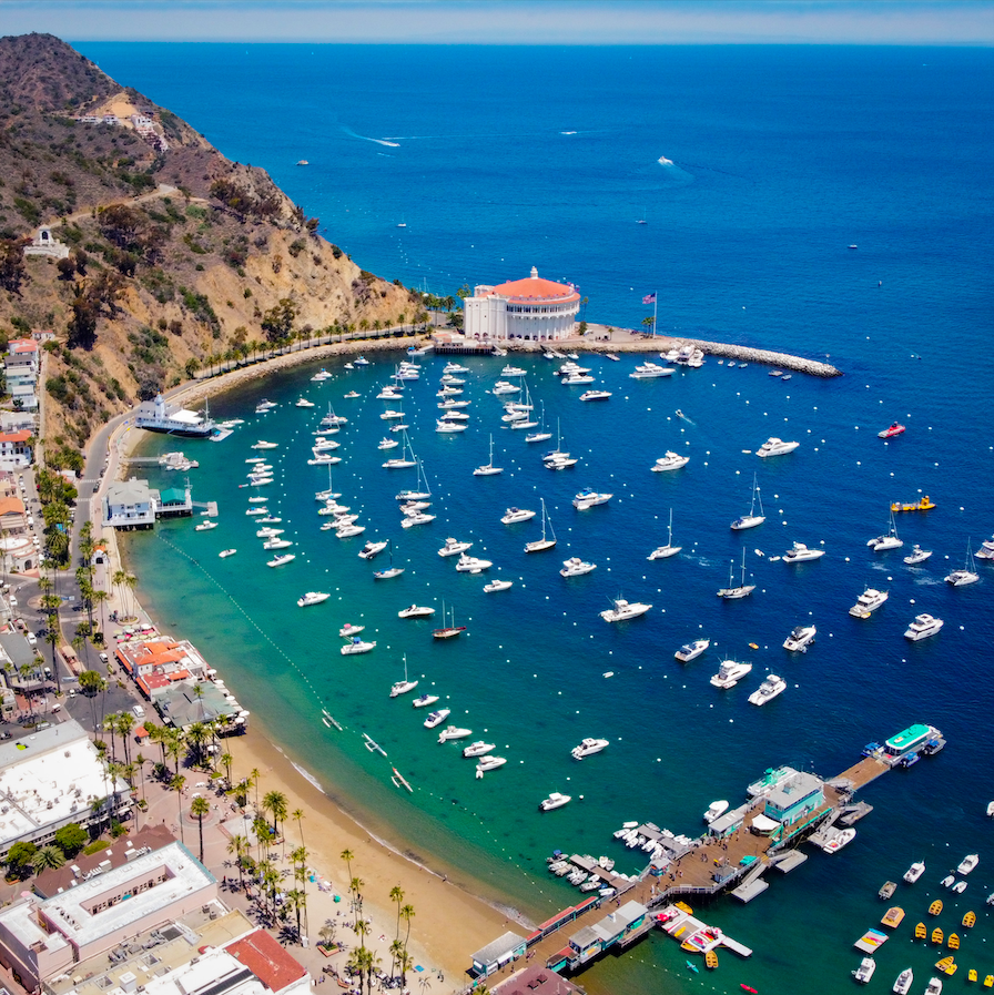 What to Do in Catalina Island For a Day The Minivan Bucket List