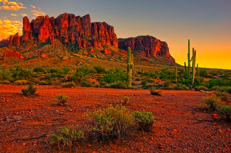 Top 10 Things to Do in Phoenix for Kids