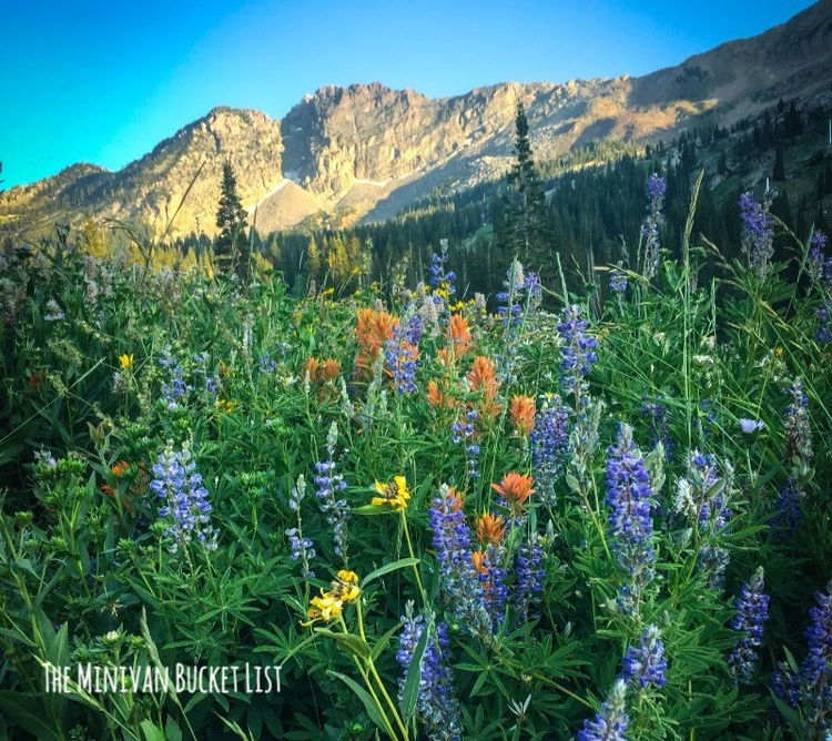 6 Best Hikes in Little Cottonwood Canyon