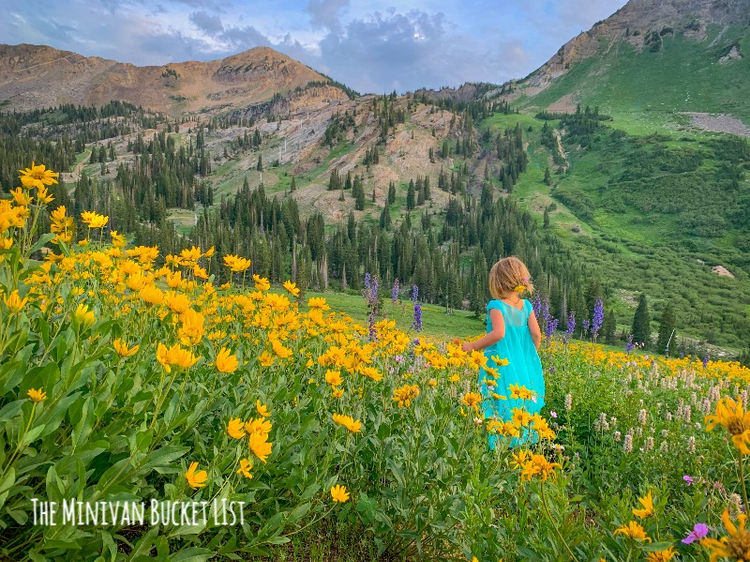 How to Skip the Fee & Hike Albion Basin for Free