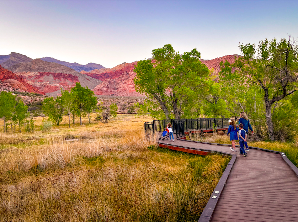 kid friendly things to do in Las Vegas hike Red Spring Boardwalk near Red Rock Canyon