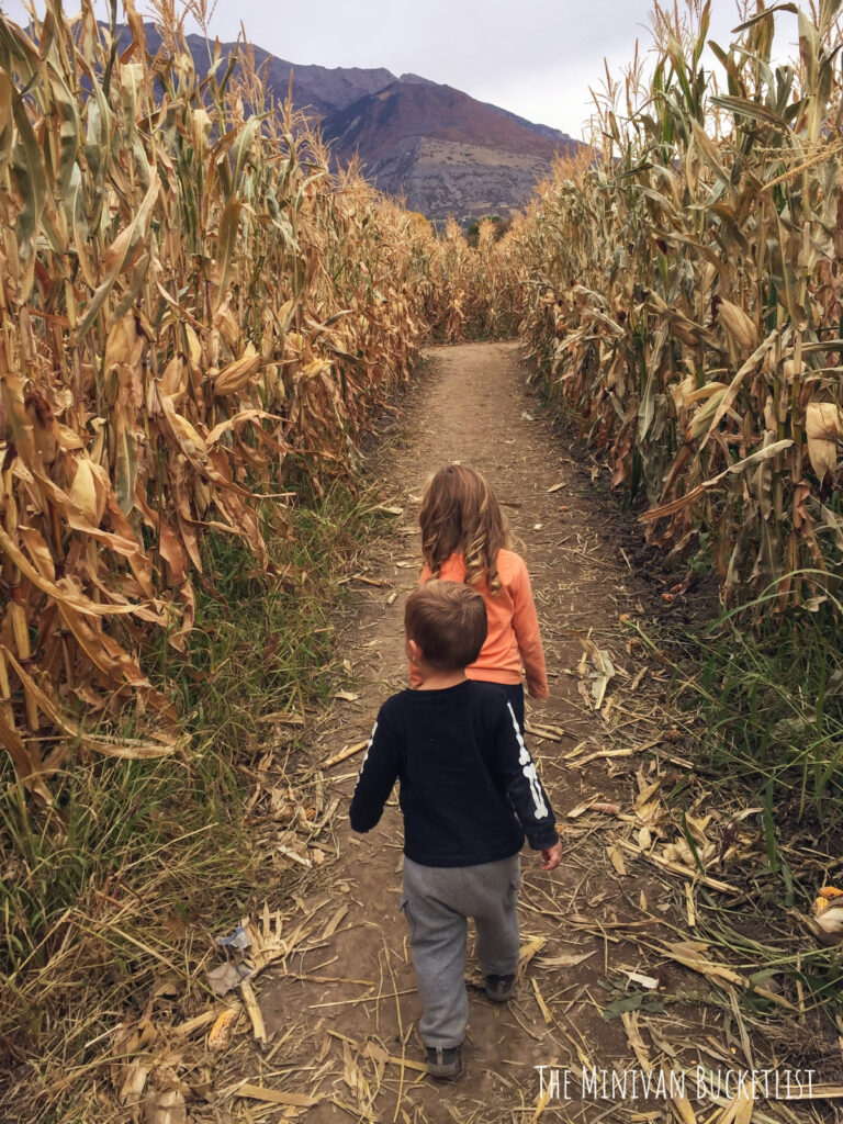 The 10 Best Corn Mazes in Utah Are Simply A-maize-ing