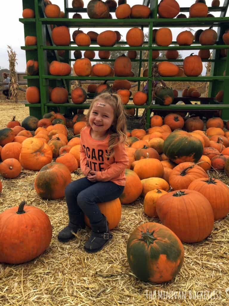 pumpkin patches in Utah