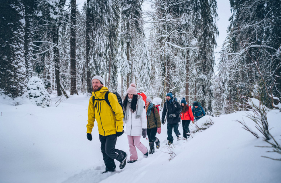 snowshoeing for beginners