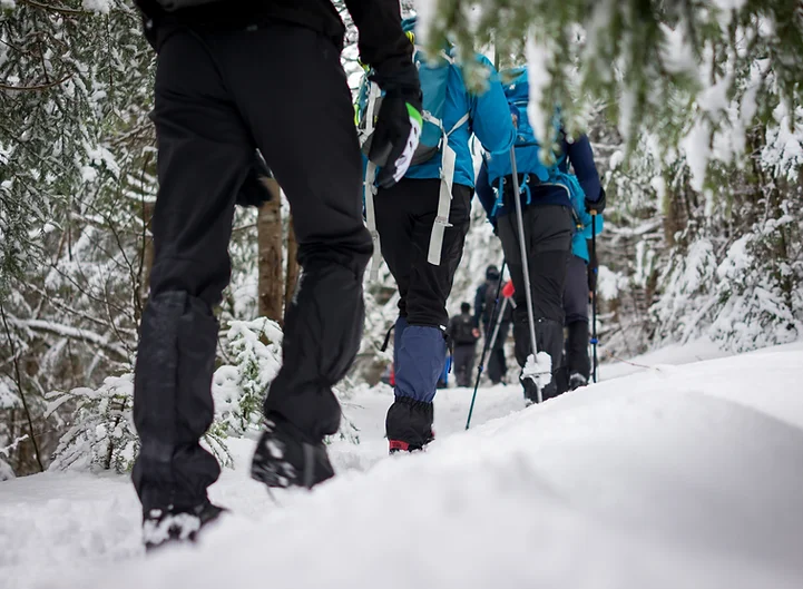 snowshoeing for beginners