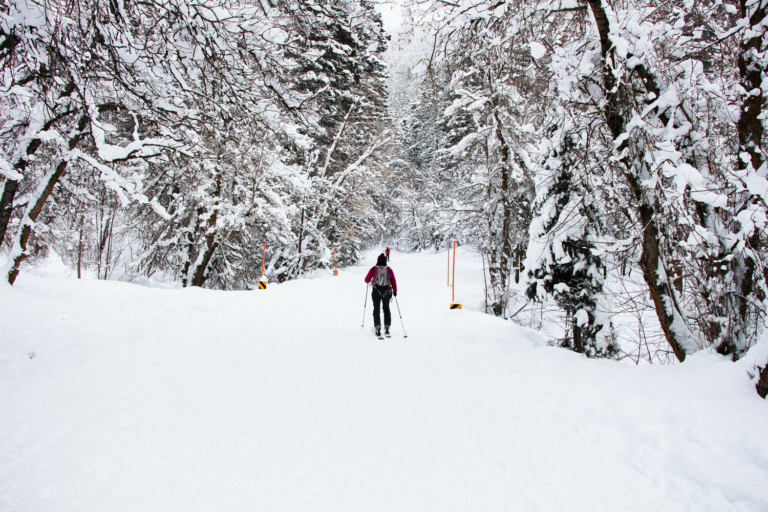 Top 10 Best Snowshoeing Trails in Utah for a Winter Adventure - The ...