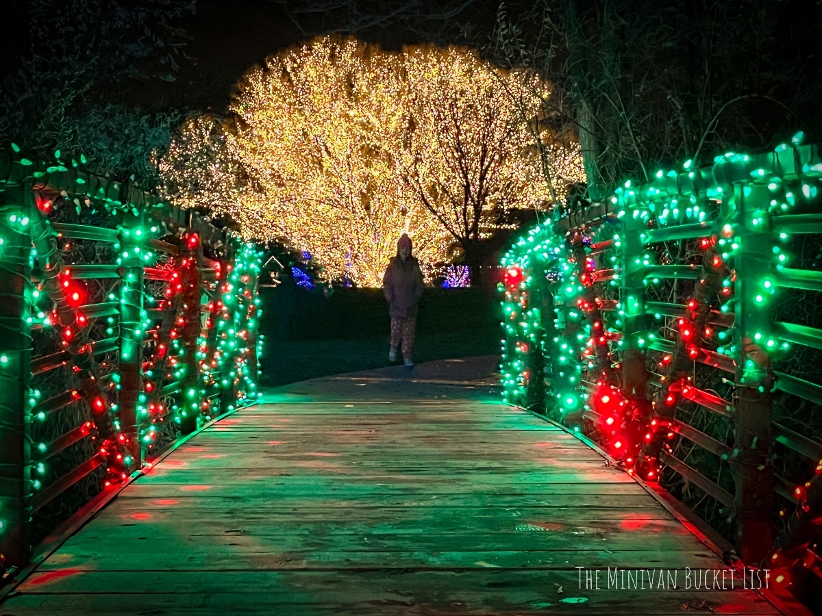 25 Christmas Activities in Utah for Your Winter Bucket List The